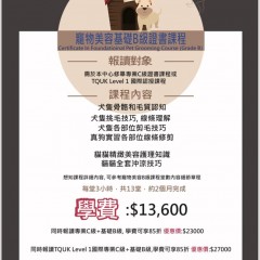 寵物美容基礎B級證書課程